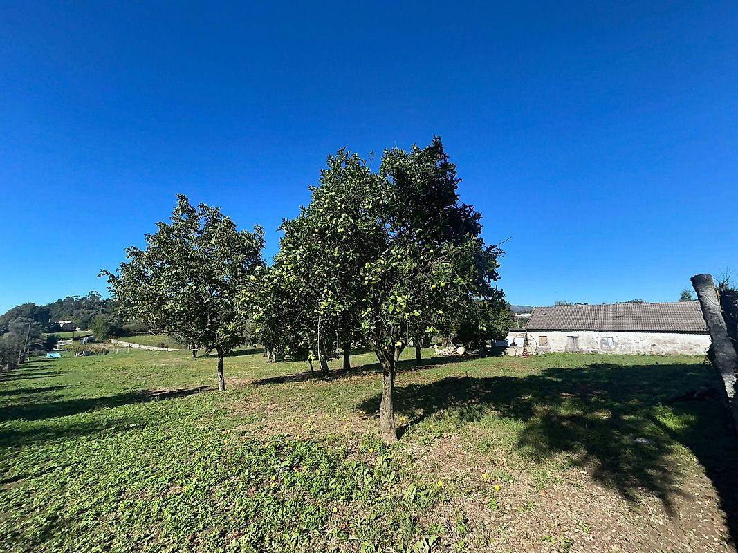 Moradia T0 para venda