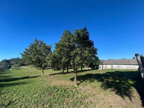 Moradia T0 para venda