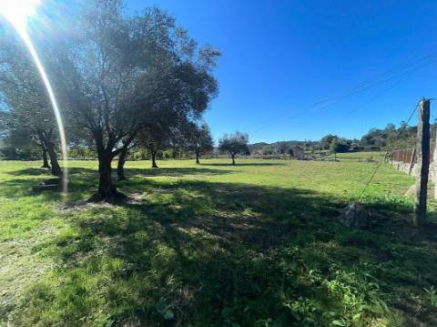 Moradia T0 para venda