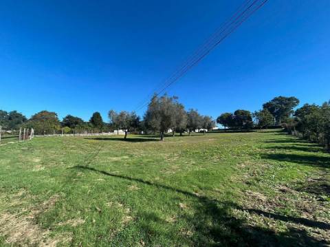 Moradia T0 para venda