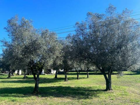 Moradia T0 para venda