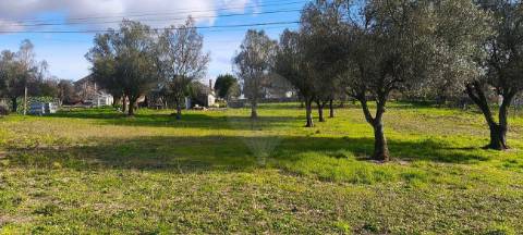 Moradia T0 para venda