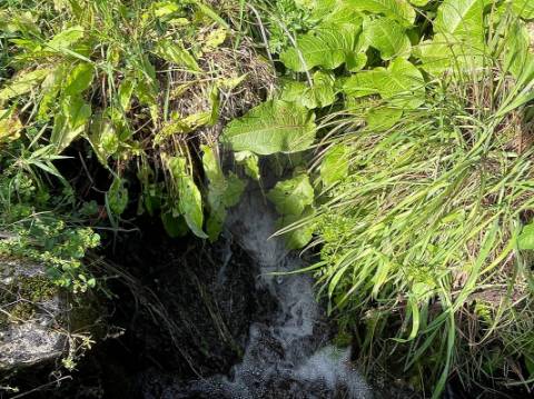 Moradia T0 para venda