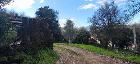 Moradia T3 para venda