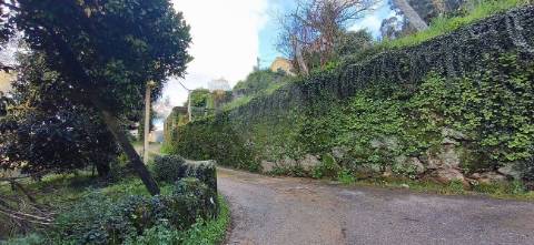 Moradia T3 para venda