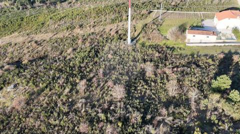 Terreno  para venda