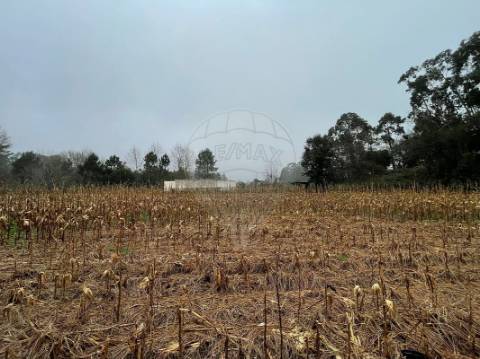 Moradia T4 para venda