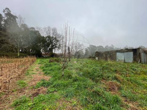 Moradia T4 para venda