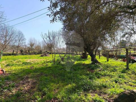 Moradia T4 para venda