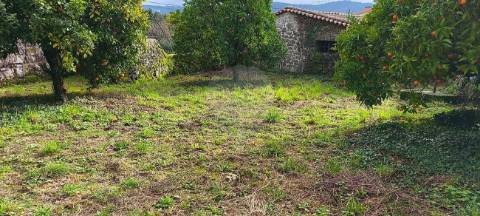 Moradia T0 para venda