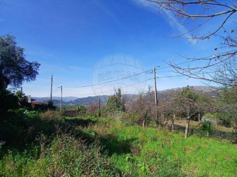 Terreno  para venda