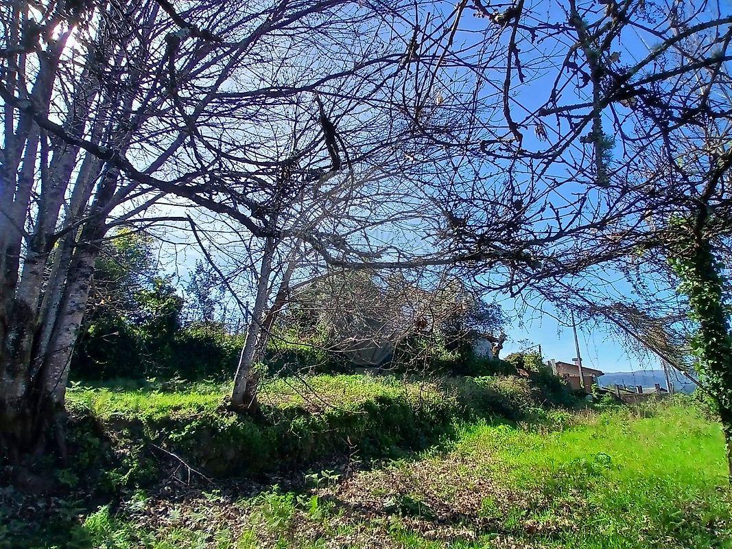 Terreno  para venda