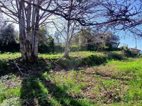 Terreno  para venda