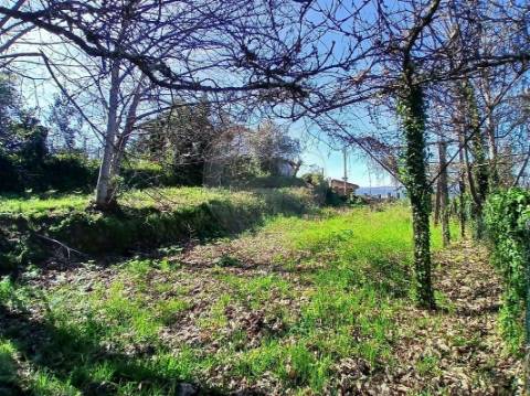 Terreno  para venda