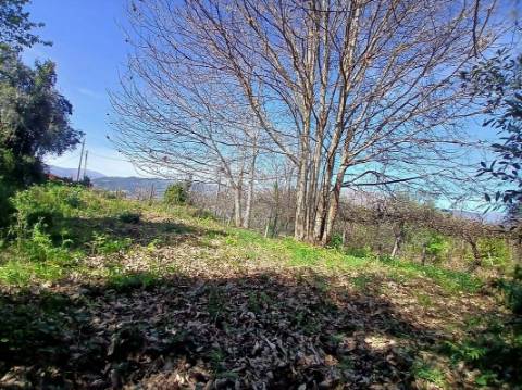 Terreno  para venda