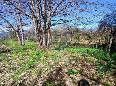 Terreno  para venda