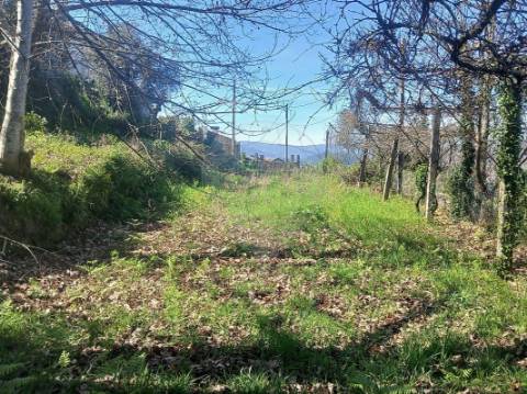 Terreno  para venda