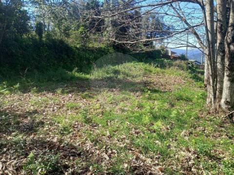 Terreno  para venda