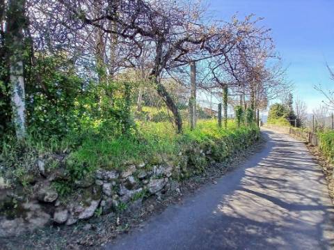 Terreno  para venda