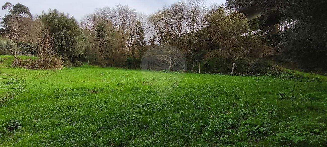 Terreno  para venda