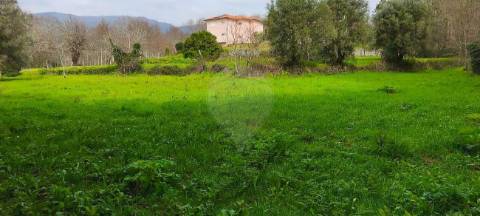 Terreno  para venda