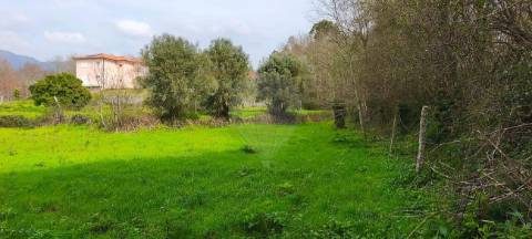 Terreno  para venda
