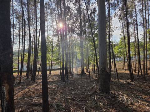Terreno  para venda