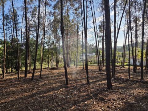 Terreno  para venda