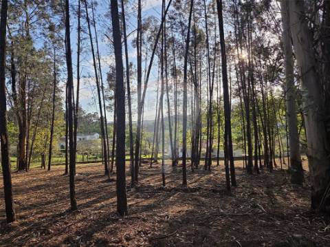Terreno  para venda
