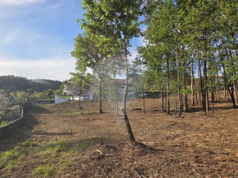 Terreno  para venda