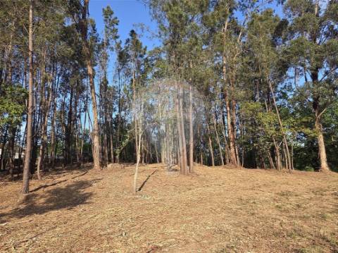 Terreno  para venda