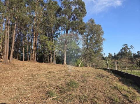 Terreno  para venda
