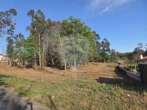 Terreno  para venda