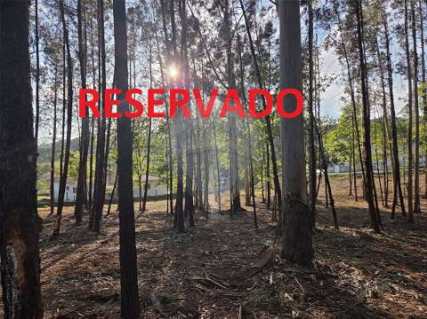 Terreno  para venda