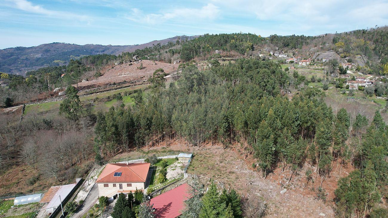 Terreno  para venda