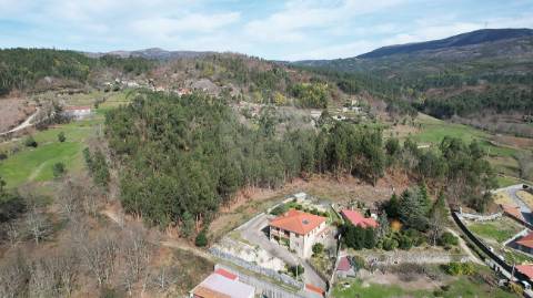 Terreno  para venda