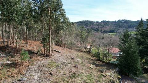 Terreno  para venda