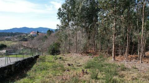 Terreno  para venda