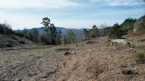 Terreno  para venda