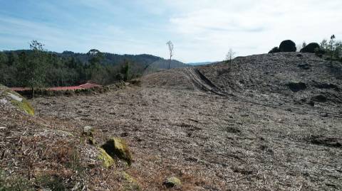 Terreno  para venda