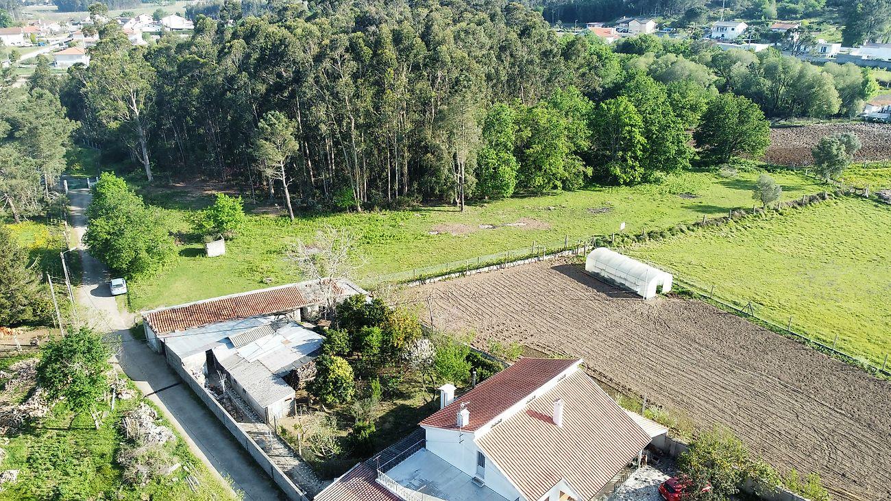 Terreno  para venda