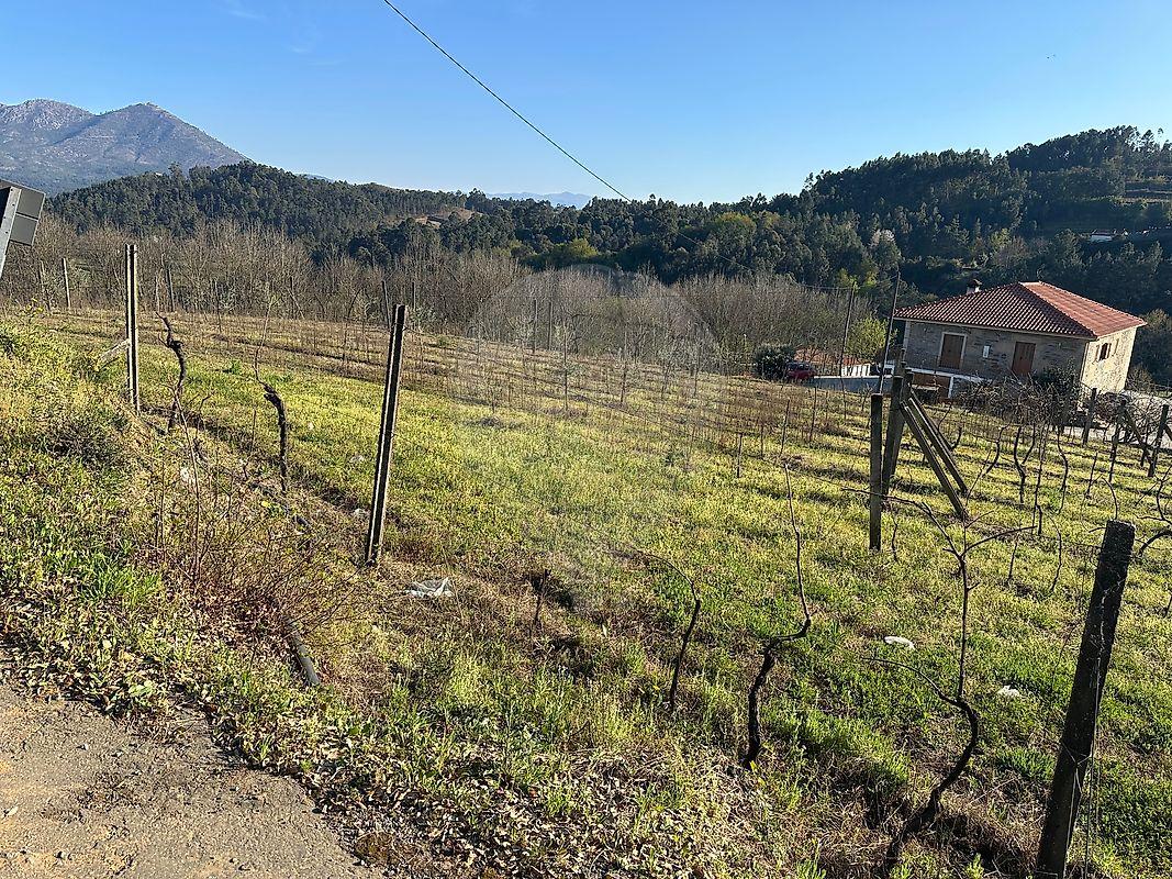 Terreno  para venda