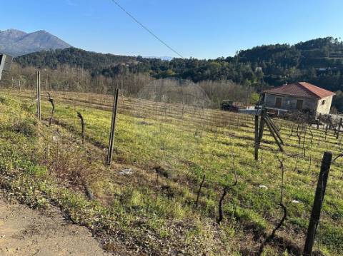 Terreno  para venda