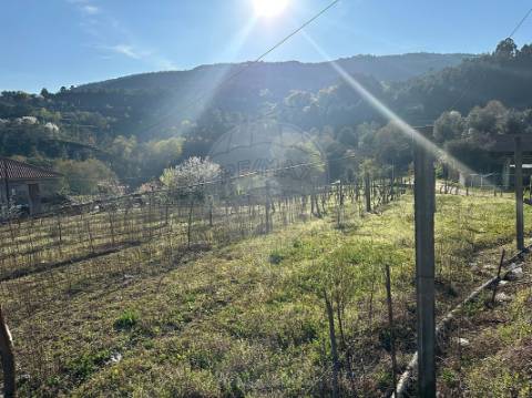 Terreno  para venda