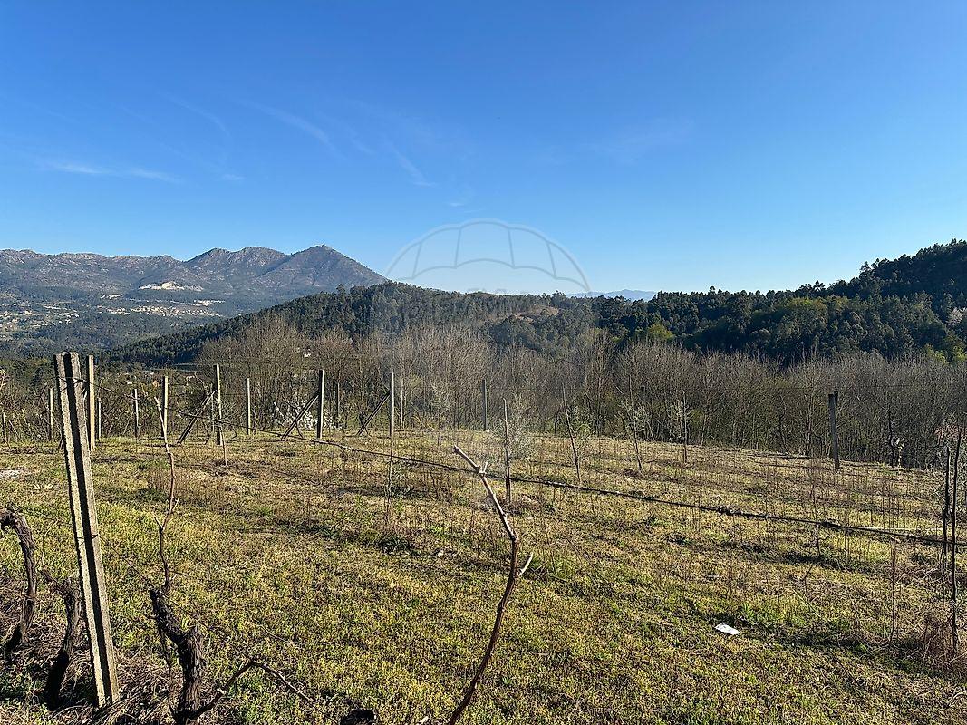 Terreno  para venda