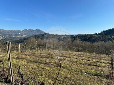 Terreno  para venda
