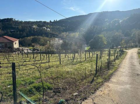 Terreno  para venda