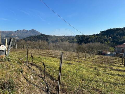 Terreno  para venda