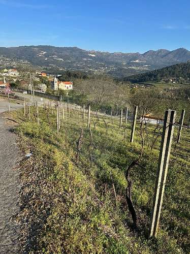 Terreno  para venda
