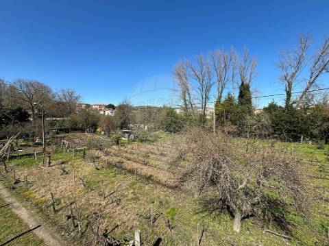 Terreno  para venda